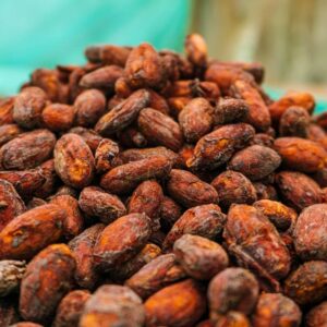 Granos de cacao chuncho